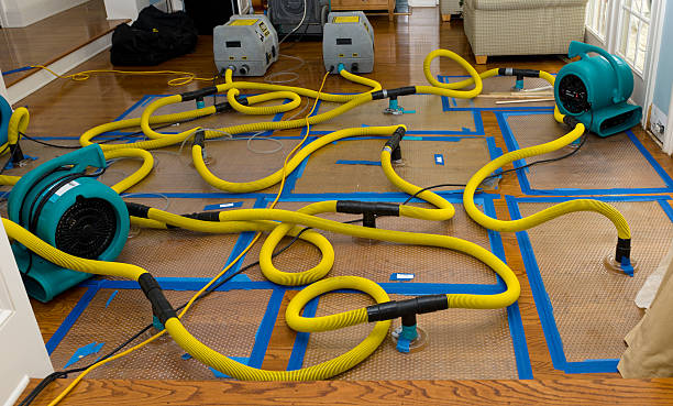 Professional Sewage Cleanup technician working in Frisco, TX